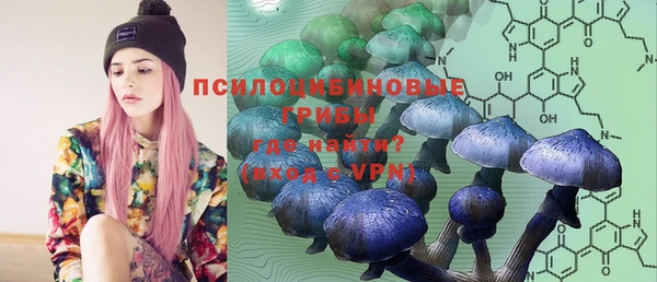 а пвп мука Богородицк