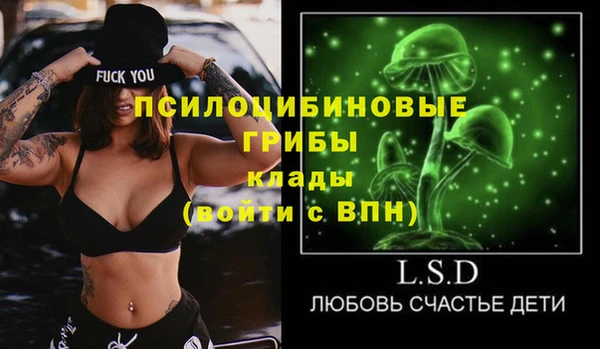 гидра Белоозёрский
