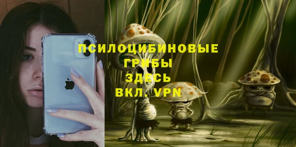 гидра Белоозёрский