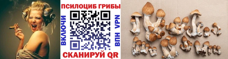 что такое   Котлас  Галлюциногенные грибы ЛСД 