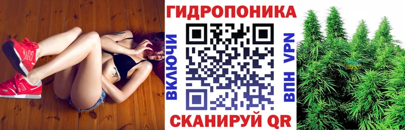 Шишки марихуана тримм  hydra рабочий сайт  Котлас 